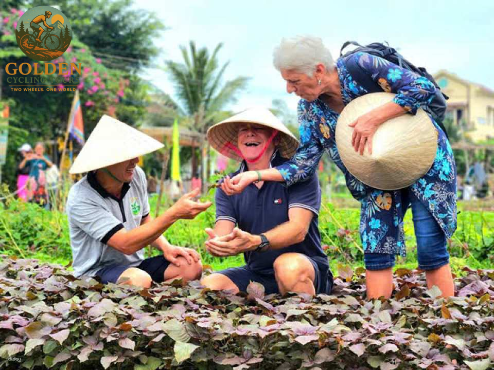 4-Day Hoi An Cycling Tour: UNESCO Heritage, Coastal Trails & Countryside Discovery